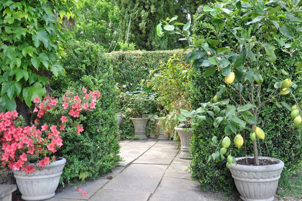 ベベーズ Domaine De Paguy Bed & Breakfast 部屋 写真