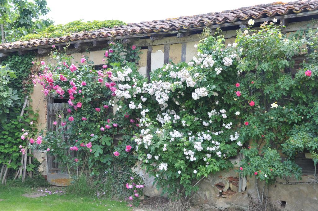 ベベーズ Domaine De Paguy Bed & Breakfast 部屋 写真