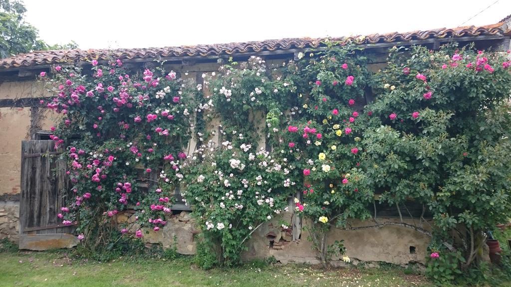 ベベーズ Domaine De Paguy Bed & Breakfast エクステリア 写真