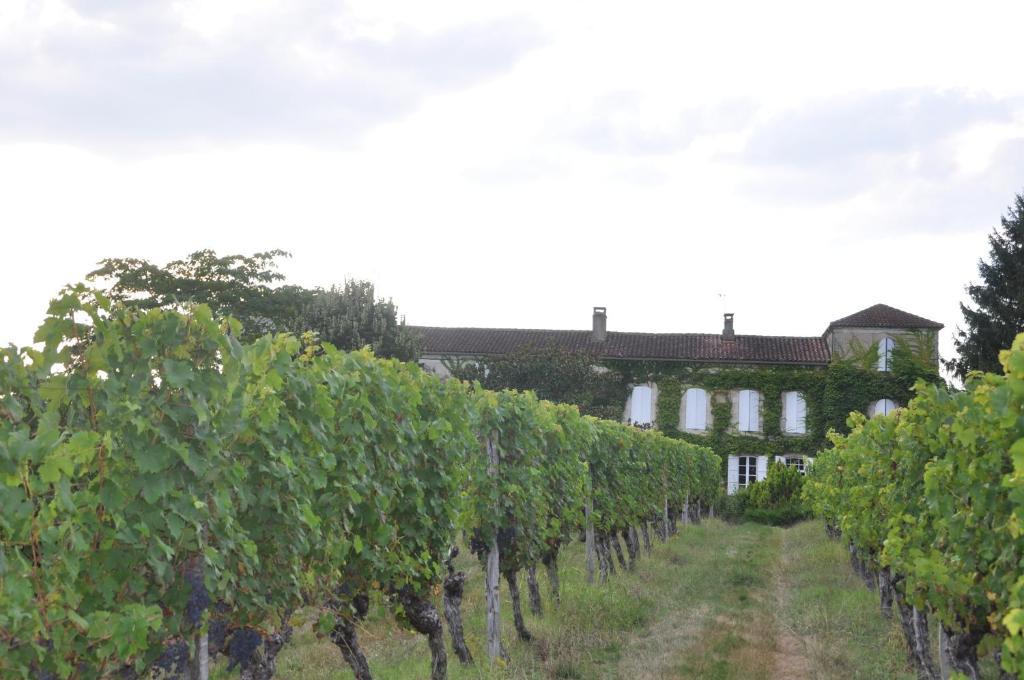 ベベーズ Domaine De Paguy Bed & Breakfast エクステリア 写真